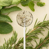 Amborella Organic Seed Bearing Lollipop