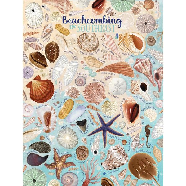 Beachcombing: The Southeast Puzzle