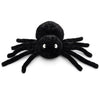 Noir Spider