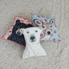 Polar Pillow