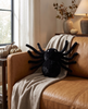Noir Spider