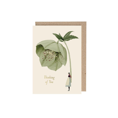 Hellebore (Thinking of You) Card