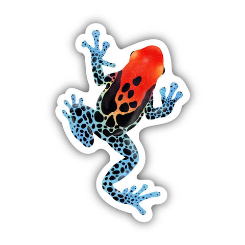 Rainforest Frog Sticker