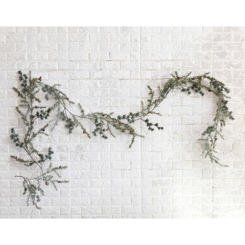 Frost Spruce Pinecone Garland