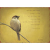 Delight Greeting Card