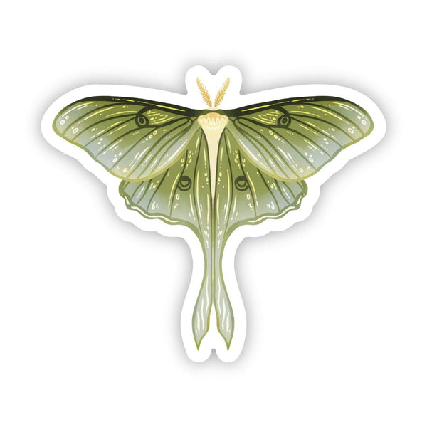 Moth Sticker