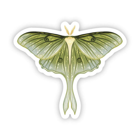 Moth Sticker