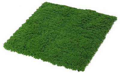 FAUX MOSS SQUARE Tile