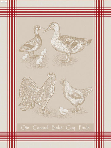 French Country Bird Towel
