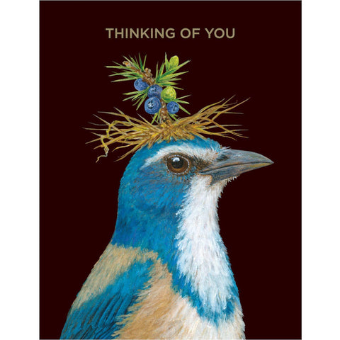 Thinking of You Blue Jay Card