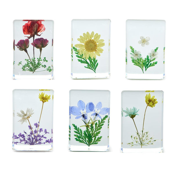 Wildflowers Pressed Keepsake