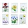 Wildflowers Pressed Keepsake