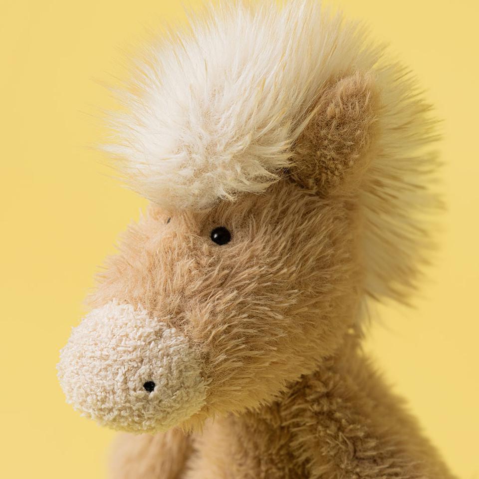 Canterneigh Pony