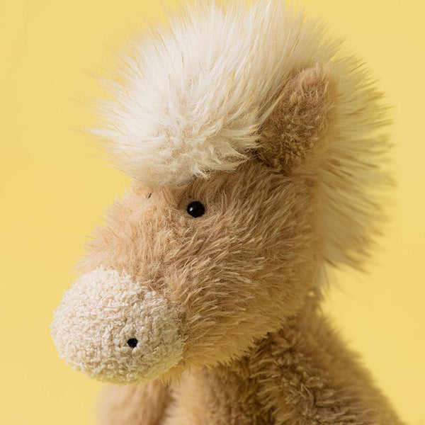 Canterneigh Pony