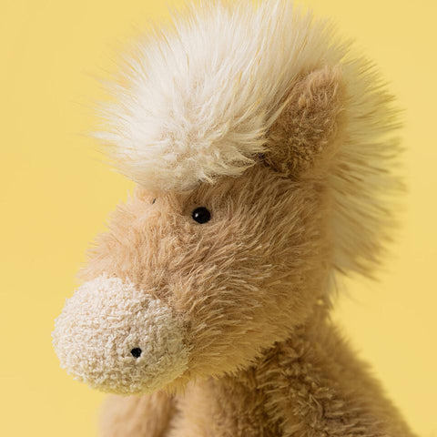 Canterneigh Pony