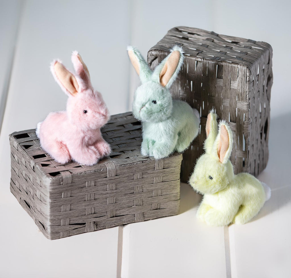 Neat Petite Bunny