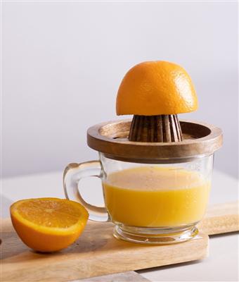 Wood Juicer
