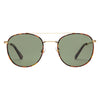 Easton Sunglasses