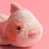 Fancy Carp