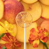 Amborella Organic Seed Bearing Lollipop