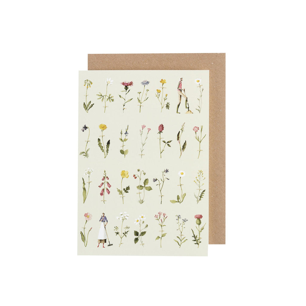 Wildflowers  Greeting Card