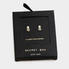 Pineapple Stud Earring Gift Box