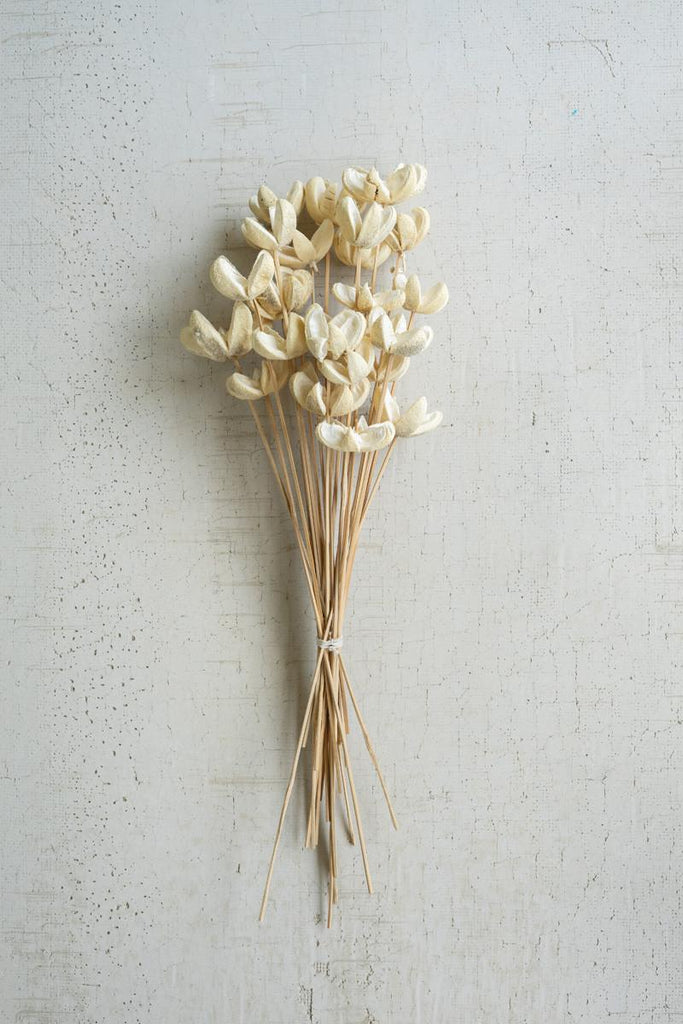 Bullet Flower Stem Set