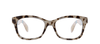 Beachcomber Tortoise Readers
