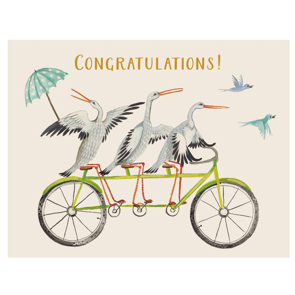 Congrats Stork Trio Card