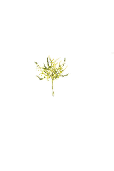 Botanica Plant