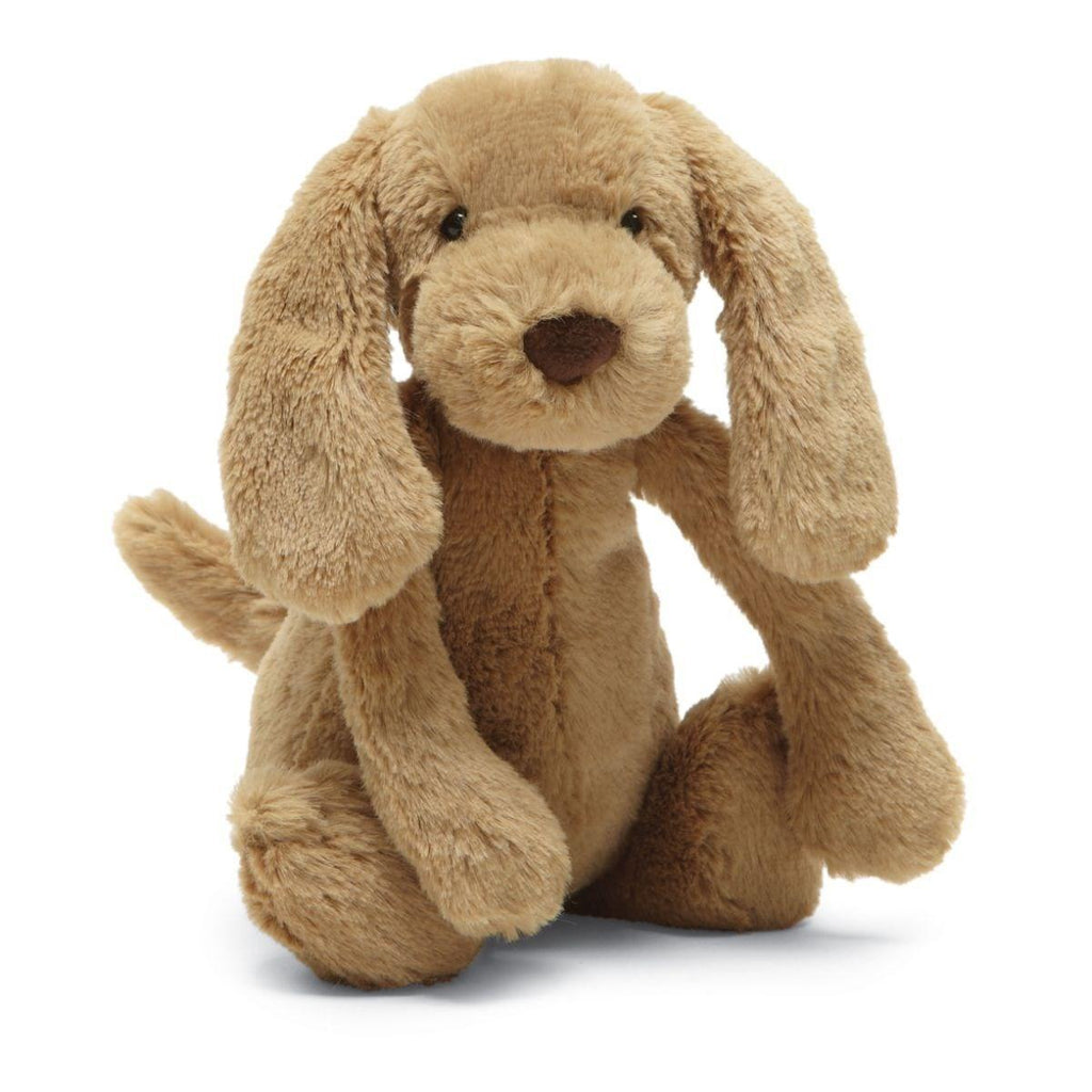 Bashful Toffee Puppy
