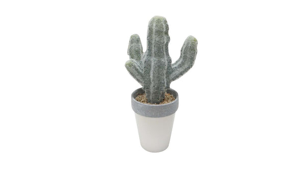 Faux Cacti