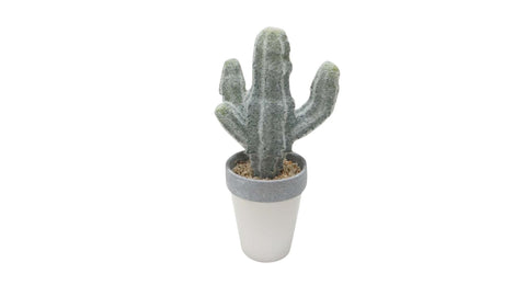 Faux Cacti