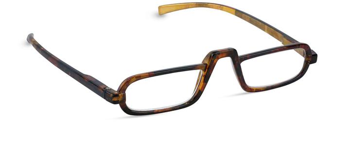 Golden Tortoise Readers