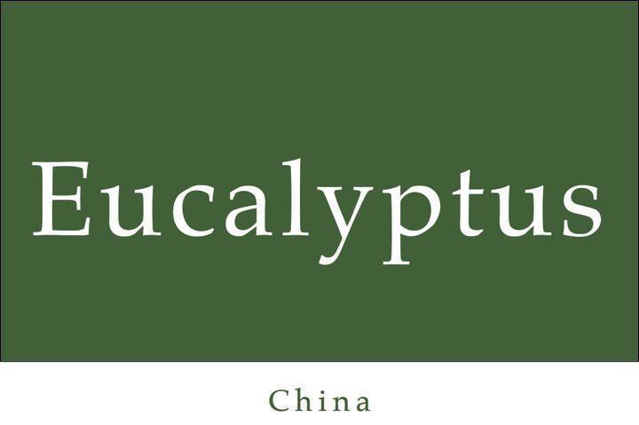 Eucalyptus Essential Oil