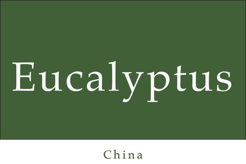 Eucalyptus Essential Oil