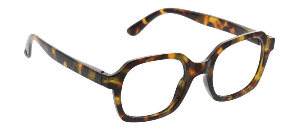 Jet Set Tortoise Reader