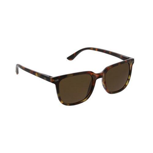 Cruz Sunglasses