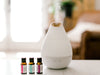 French Lavender Essential Oil