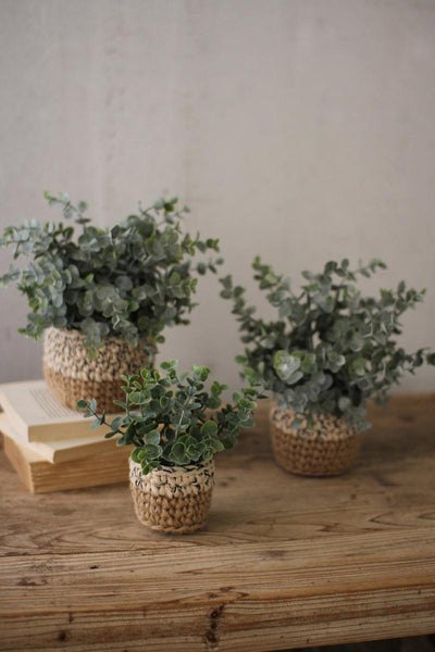 Eucalyptus Woven Arrangement