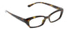 Viewpoint Focus Tortoise Readers