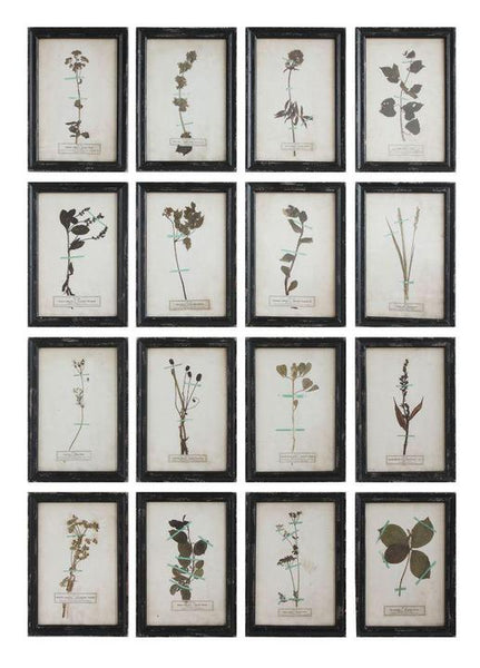 Framed Vintage Reproduction Floral Art