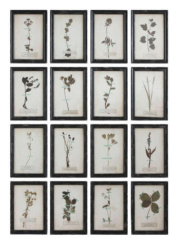 Framed Vintage Reproduction Floral Art