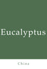 Eucalyptus Essential Oil