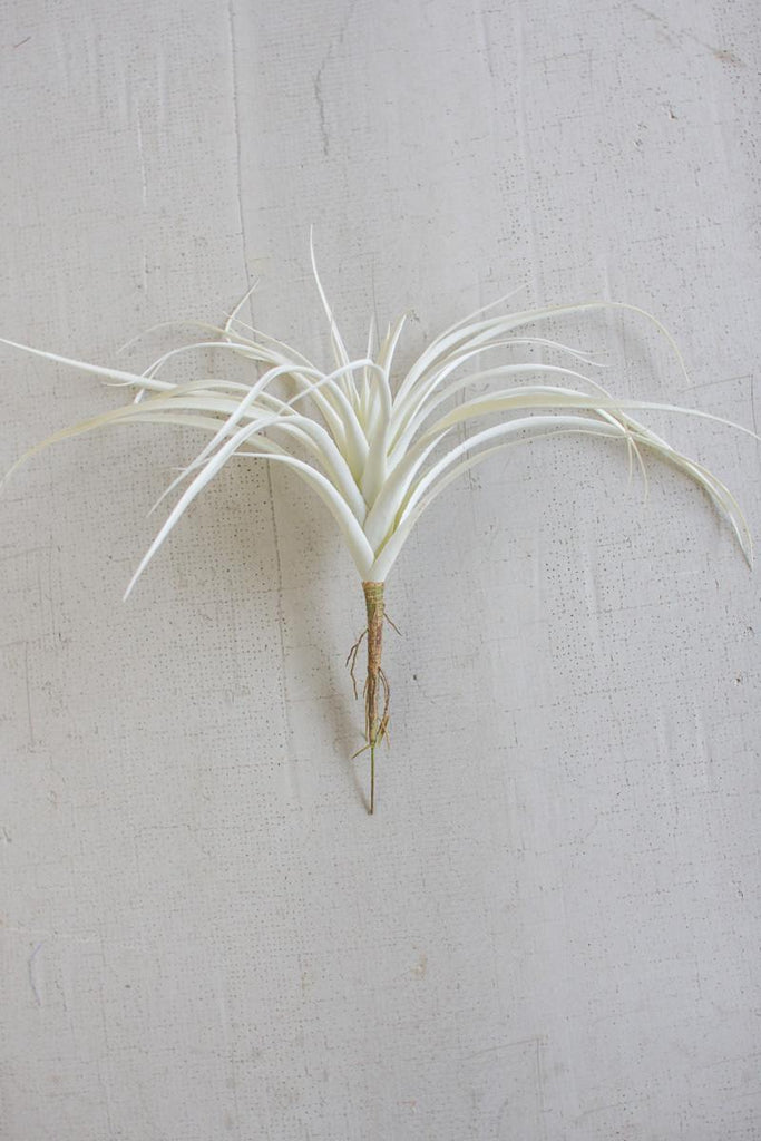 large faux air plant White Large Artificial Air Plant – Blume Organics
