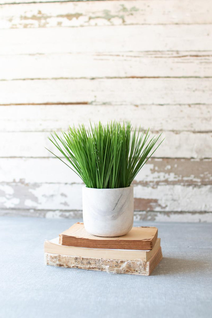 Grass in Marble Pot