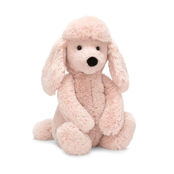 Bashful Poodle
