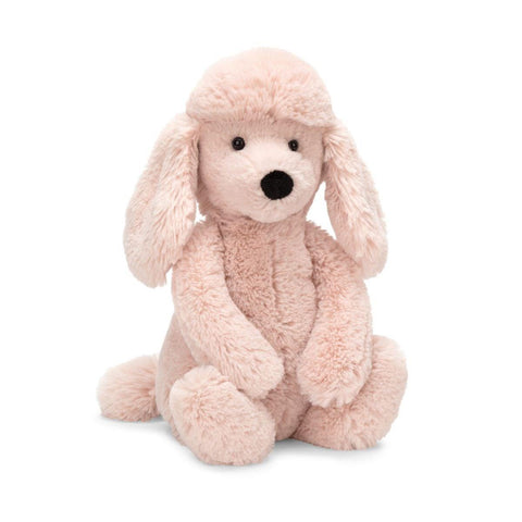 Bashful Poodle