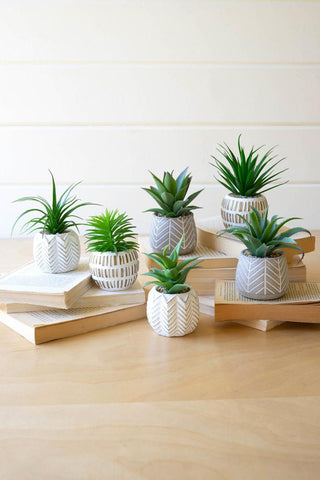 Geo Succulent Pot