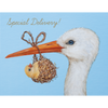 Special Delivery Card